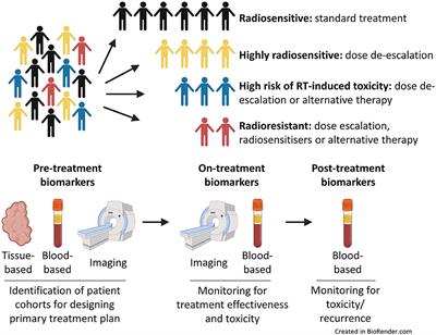 Frontiers | Precision Medicine And The Role Of Biomarkers Of ...